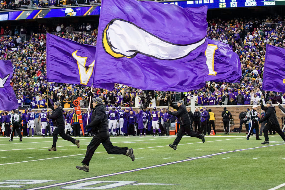 Minnesota Vikings flag
