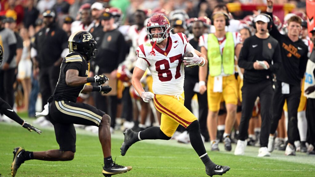 Multiple tight ends aligned in a modern American football offense